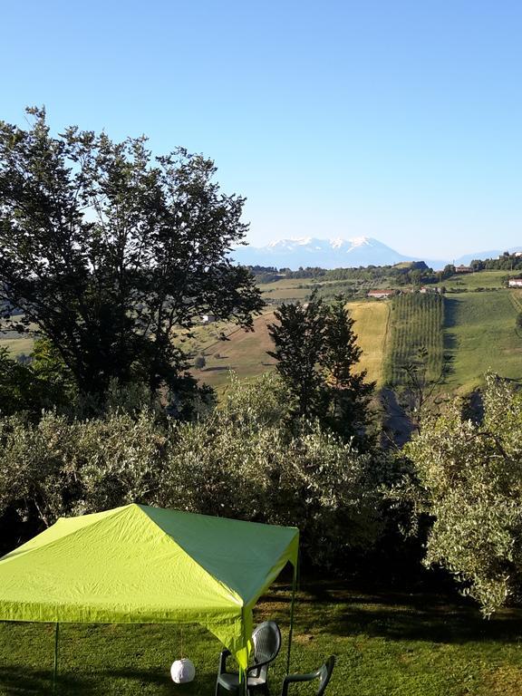 B&B L'Albero Di Antonia Atri Bagian luar foto