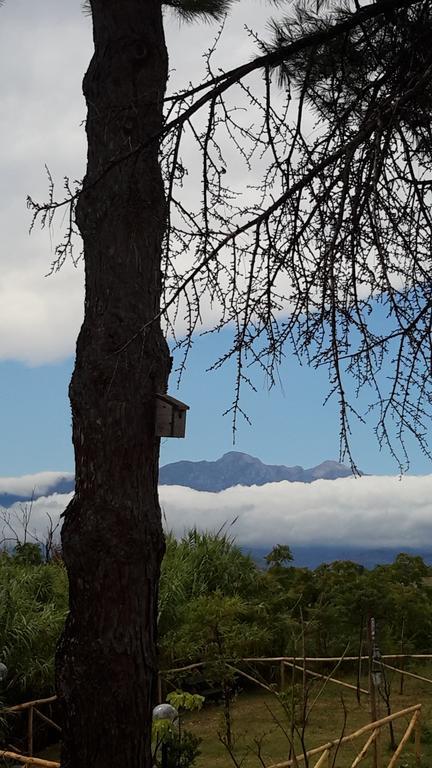 B&B L'Albero Di Antonia Atri Bagian luar foto