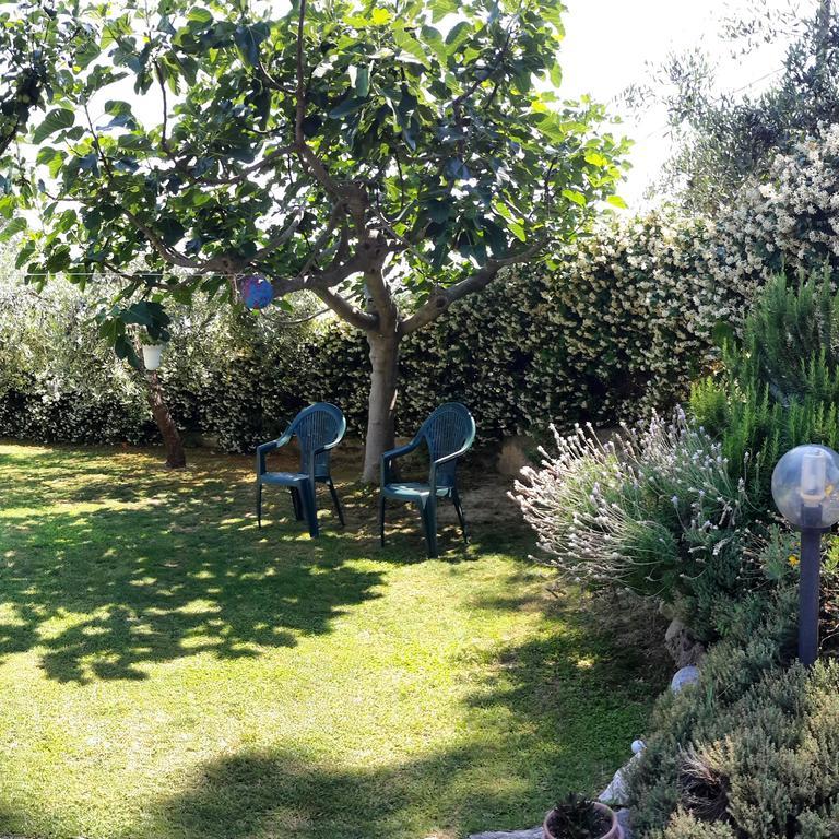 B&B L'Albero Di Antonia Atri Bagian luar foto